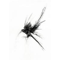 Earthbound By Marion McConaghie