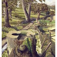 east of eden by simon palmer