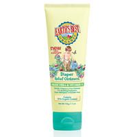 Earth\'s Best Diaper Relief Ointment - 113g