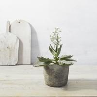 Earthenware Small Planter