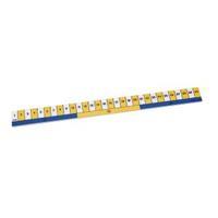 Early Learning Ruler Pack of 10 ELR10