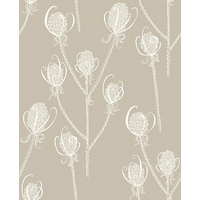 Earth Inke Wallpapers Teasels - Cream Tea, TSL5