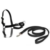 Easy Walk Harness - Size S (chest circumference 38  51 cm)