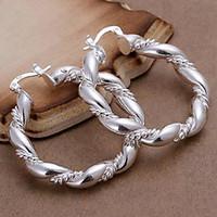 Earring Hoop Earrings Jewelry Women Daily Alloy Silver