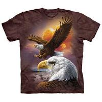 Eagle & Clouds