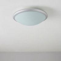 ebo white frosted ceiling light