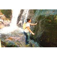 Eco-Tour of SÃ£o Paulo