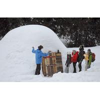 ECO BIVOUAC VILLAGE D\'IGLOO