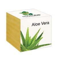 EcoCube | Wooden Plant Box