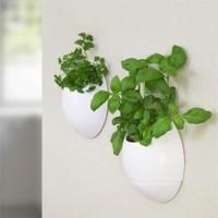 eco pod self watering planter