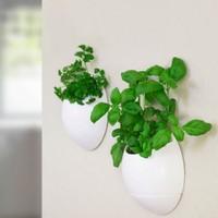 ecopods life pod self watering planter