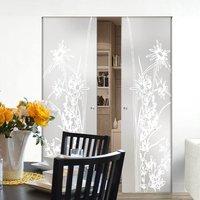 Eclisse 10mm Alpes Sandblasted Design on Clear or Satin Glass Syntesis Double Pocket Door