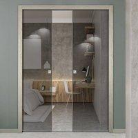 Eclisse 10mm Grey Tinted Glass Double Pocket Door - No Design