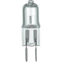 Eco halogen 40 mm Sygonix 12 V G6.35 50 W Warm white EEC: C Pin base dimmable 1 pc(s)