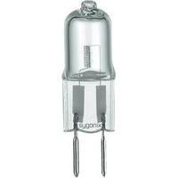 Eco halogen 40 mm Sygonix 12 V G6.35 20 W Warm white EEC: C Pin base dimmable 1 pc(s)