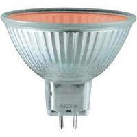 Eco halogen 49 mm Sygonix 12 V GU5.3 20 W Red EEC: C Reflector bulb dimmable 1 pc(s)