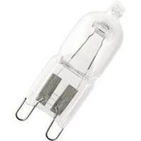 eco halogen 43 mm osram 230 v g9 48 w warm white eec d pin base dimmab ...