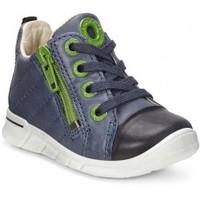 ECCO First