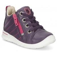 ECCO First