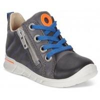 ECCO First