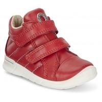 ECCO First