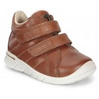 ECCO First