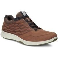 Ecco Sneaker Exceed Low men\'s Shoes (Trainers) in Brown