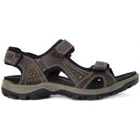 ecco offroad lite mens sandals in multicolour