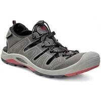 ecco biom delta mens sandals in grey