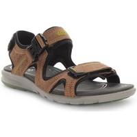 ecco cruise mens sandals in brown