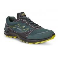 ecco biom trail fl mens