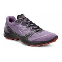 ECCO BIOM Trail Fl GTX