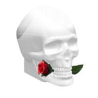 ed hardy skulls roses for her 100 ml edp spray