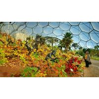 Eden Project Private Guided Mediterranean Tour for Two