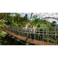 Eden Project Private Guided Rainforest Tour for Two