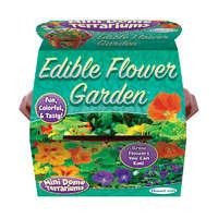 Edible Flowers Mini Dome Terrarium