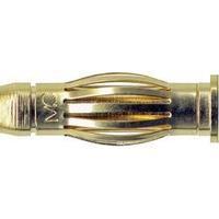 Edge connector (pins) Plug, straight Pin diameter: 4 mm Brass MultiContact SA404 1 pc(s)