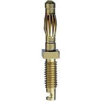 Edge connector (pins) Plug, straight Pin diameter: 4 mm Brass MultiContact SA401 1 pc(s)
