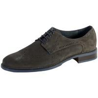 edwin wallace shoes brighton ewa2311 gris mens casual shoes in grey