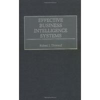 Effective Business Intelligence Systems