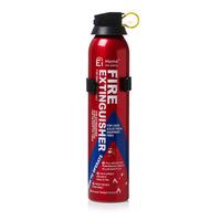 Ei Home Fire Extinguisher BC Powder Red 600g
