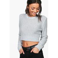 Eilise Cropped Jumper - grey