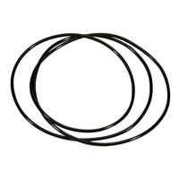 Elite - Ghibli/Parabolic Belt