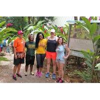 El Yunque Rainforest Adventure from San Juan