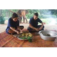 Elephant\'s Day Care at Baanchang Elephant Park in Chiang Mai