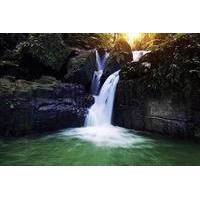 El Yunque Rainforest and Bio Bay All-Day Tour