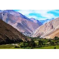 Elqui Valley Tour from La Serena