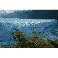 El Calafate City Tour