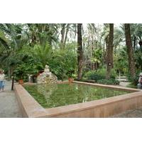 Elche Private Walking Tour