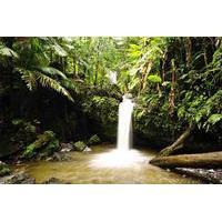 El Yunque Rainforest Hiking Adventure